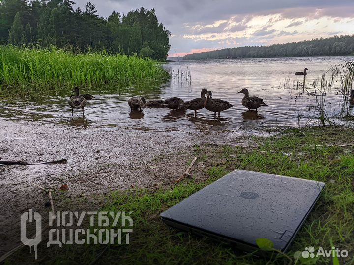 Ноутбуки HP Probook для работы в любых условиях