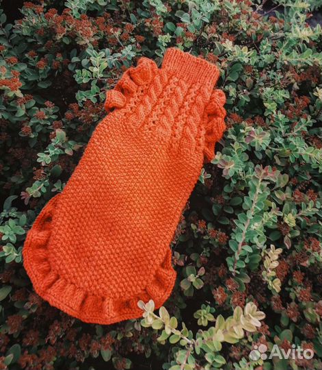 Одежда для собак