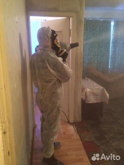 Средство для Уничтожения тараканов клопов клещей плесени