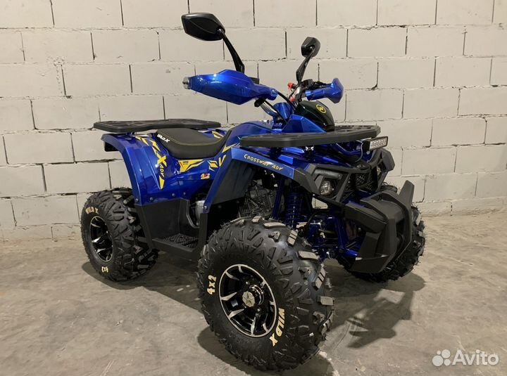 Квадроцикл Motoland 125 wild X PRO