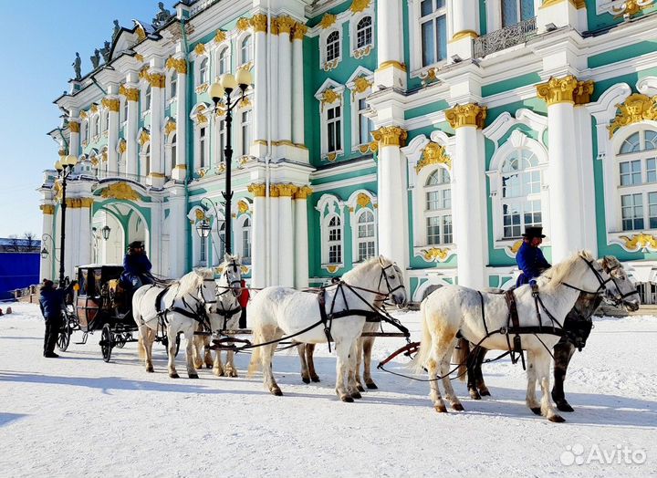 Санкт-Петербург Топ-Экскурсия Эрмитаж в мини-групп