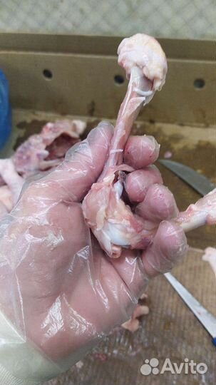 Корм для собак и кошек