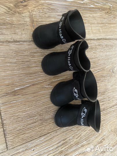 Обувь для собаки (шпица)