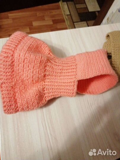 Одежда для животных