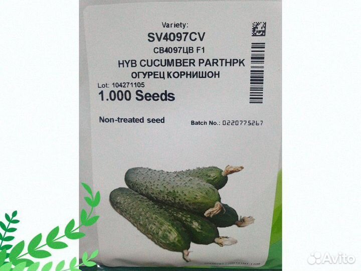 Семена Огурец св4097цв