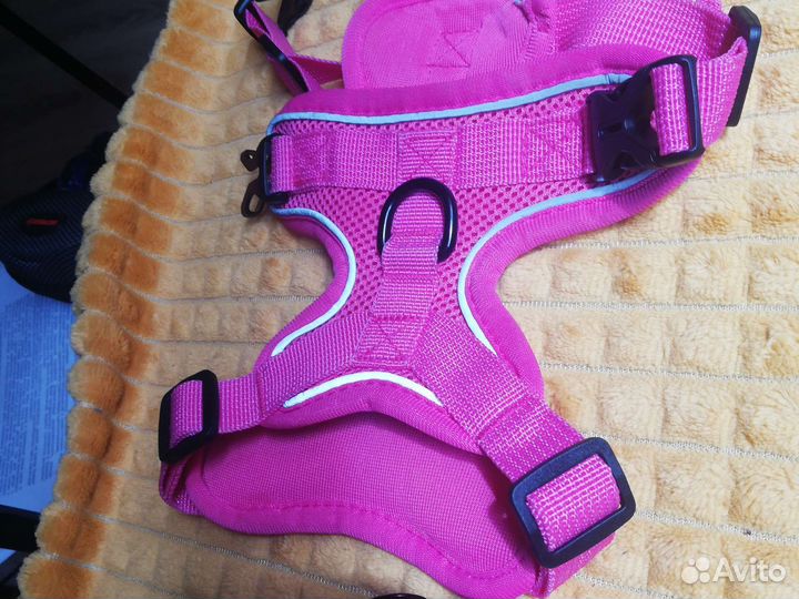 Шлейка для собаки