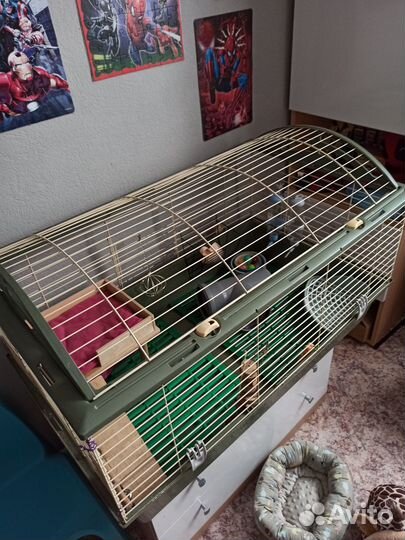 Клетка для грызунов ferplast