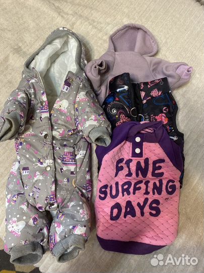 Вещи для маленькой собачки