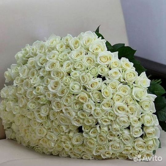 Высокие розы Гигантские Розы 150 160 170 180 190см