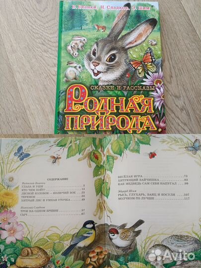 Бианки и Чарушин книги с рисунками