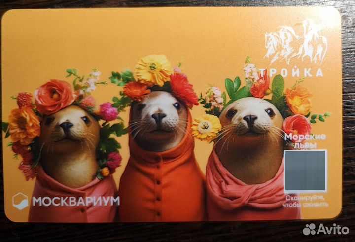 Карта Тройка Москвариум Морские львы