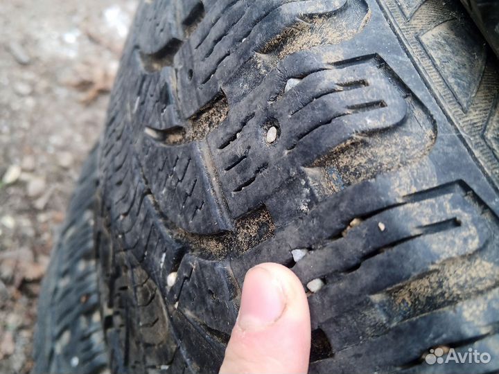 Pirelli Winter Carving Edge 225/55 R18