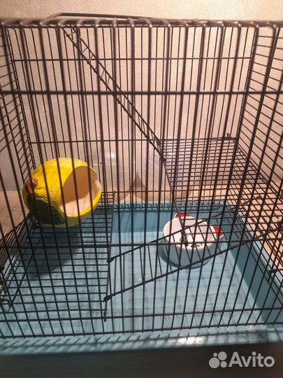 Клетка для хомяка