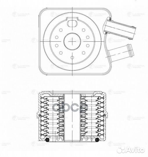 LOC 1828 luzar Радиатор масл. VW Passat B5 (97