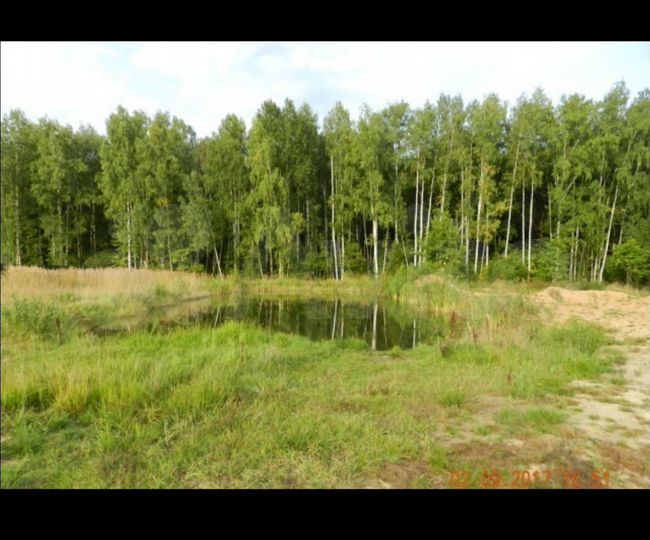 Участок 10 сот. (СНТ, ДНП)