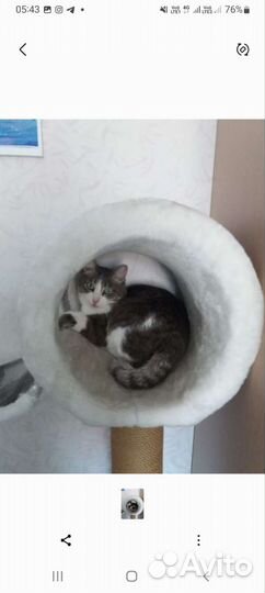 Домик для котэ