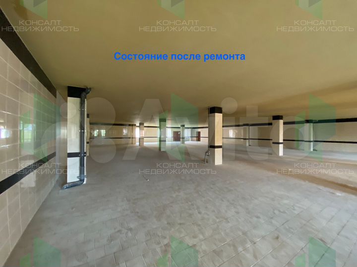 Свободного назначения, 300 м²