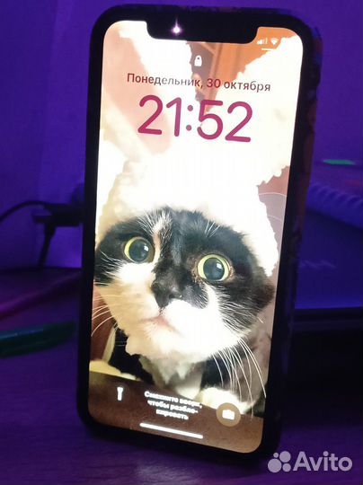 iPhone X, 256 ГБ