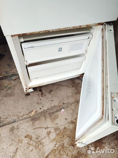 Холодильник snaige