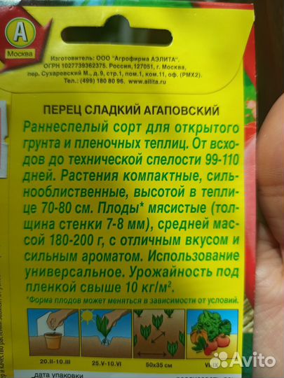 Рассада перца сладкого