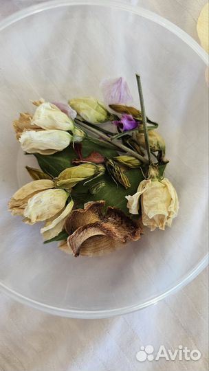 Сухоцветы для творчества Орхидеи Розы Гербарий