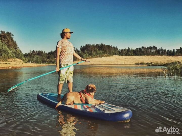 Прокат Аренда Сап бордов sup board