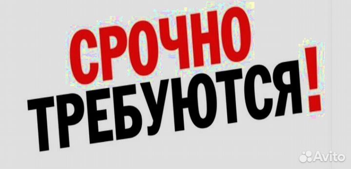 Водитель в компанию