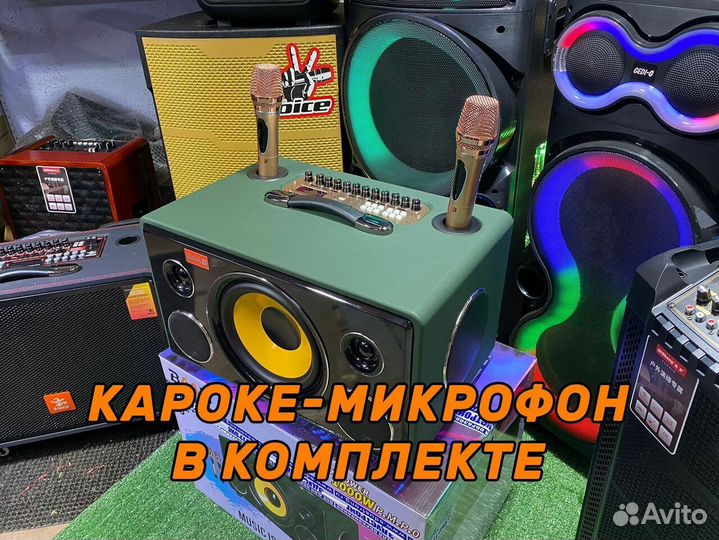 Колонка baab 1000 с караоке и микрофоном