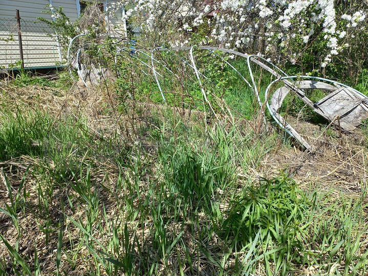 Дом 20 м² на участке 5 сот.