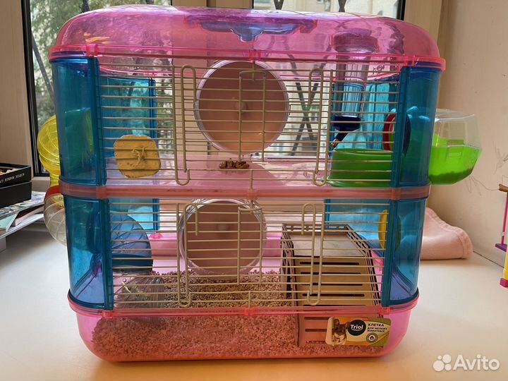 Джунгарские хомяки с клеткой