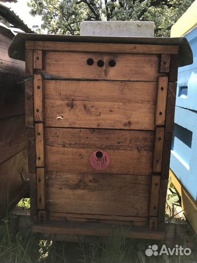 Продам пчел и пасеку