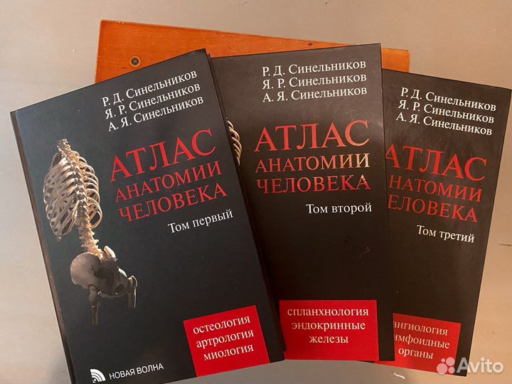 Анатомический Атлас Синельников
