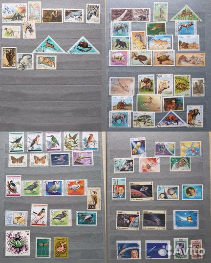 Марки. Уникальная коллекция разных стран мира