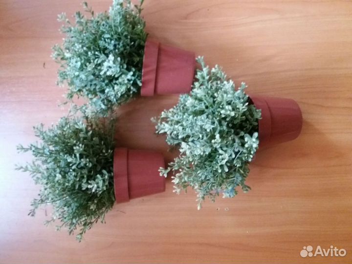 Искусственные цветы IKEA