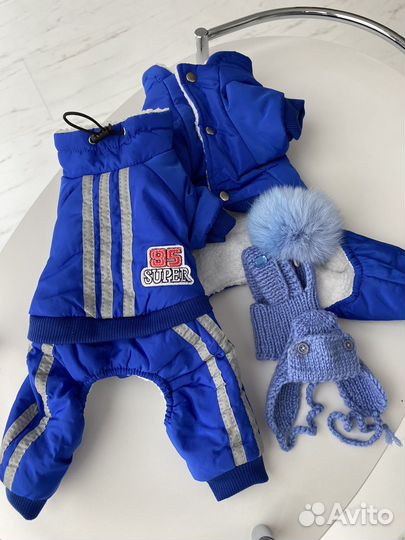 Зимний комбинезон для собак мелких пород