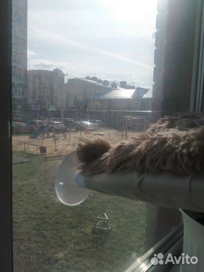 Гамак на стекло для кошек