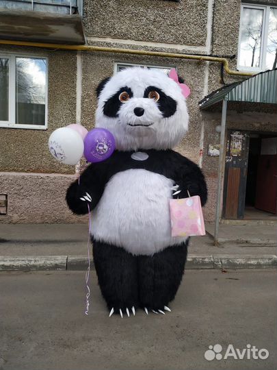 Панда на праздник