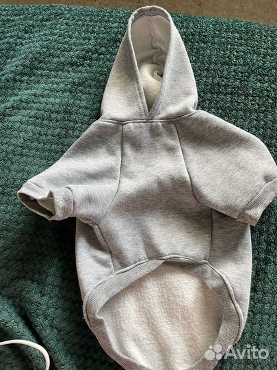 Одежда для средних собак