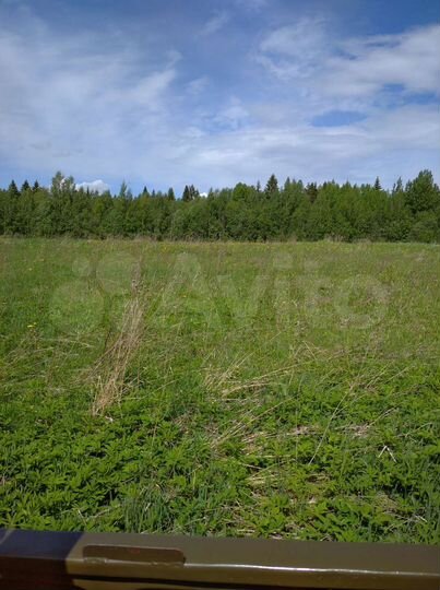Участок 10 га (СНТ, ДНП)