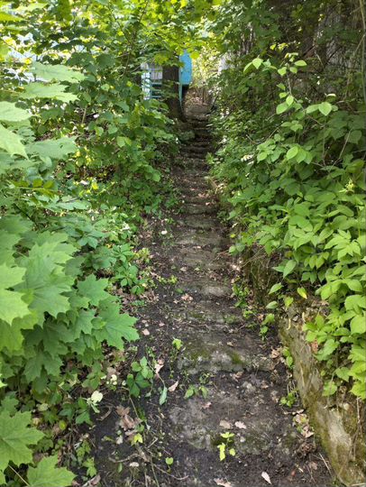 Дача 20 м² на участке 1 сот.