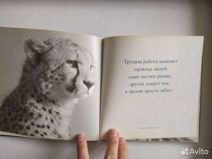 Добрые книги