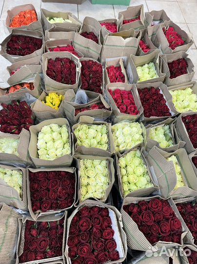 Кенийские розы