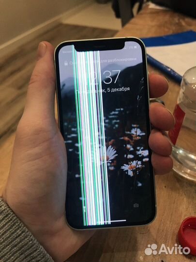 Ремонт iPhone любой вид работ