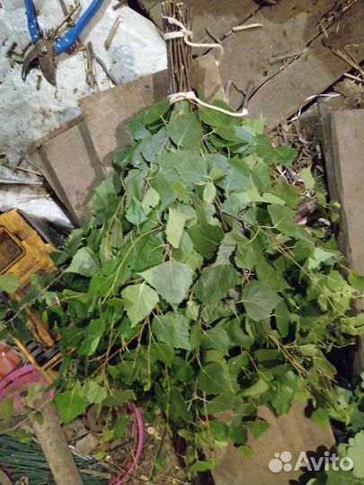 Веники для бани