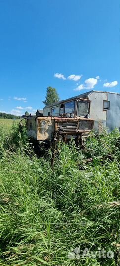 Трактор тдт-55