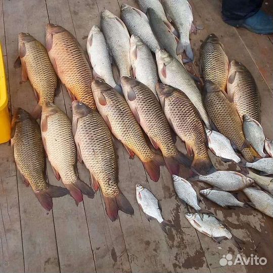 Отдых и рыбалка в маково