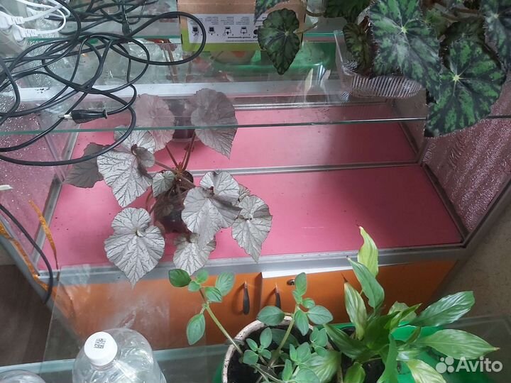 Витринная полка