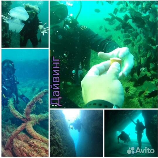 Дайвинг, погружением в открытом море