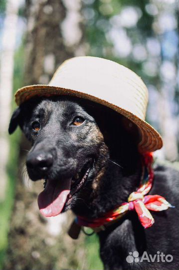 Гера ждёт своего Человека