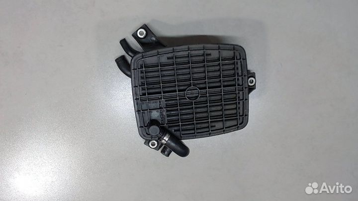 Адсорбер Audi A8 (D3), 2007